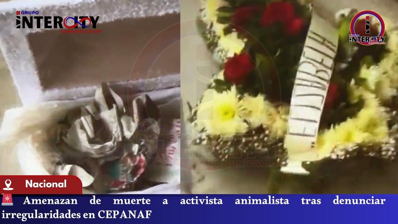 PHOTO-2025-10-29-13-40-47