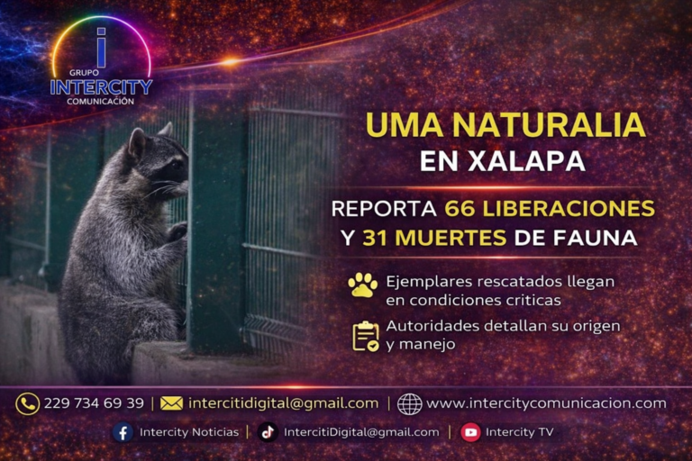 ChatGPT Image 30 mar 2026, 10_14_27 a.m.