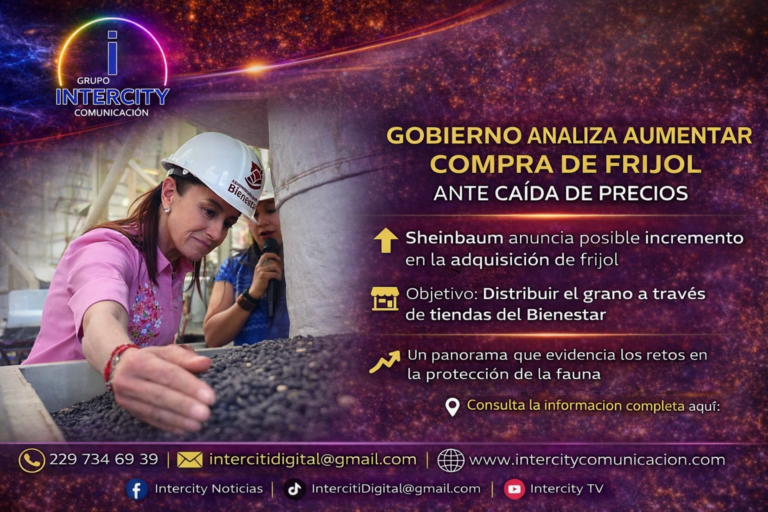 ChatGPT Image 30 mar 2026, 10_31_44 a.m.