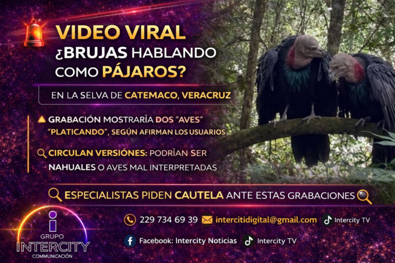 ChatGPT Image 31 mar 2026, 12_08_29 p.m.