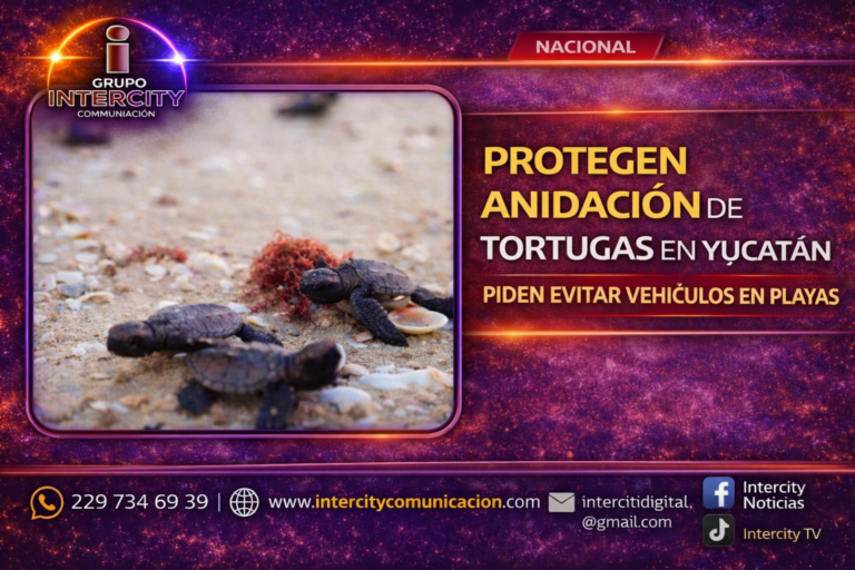 ChatGPT Image 1 abr 2026, 01_53_18 p.m.