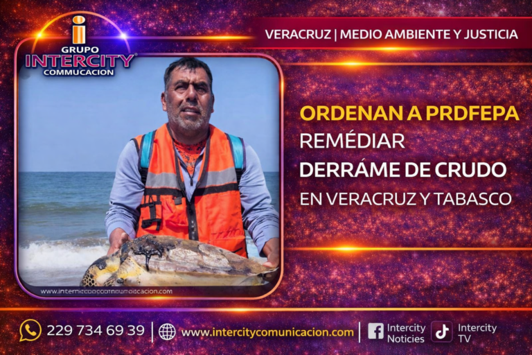 ChatGPT Image 6 abr 2026, 02_50_50 p.m.