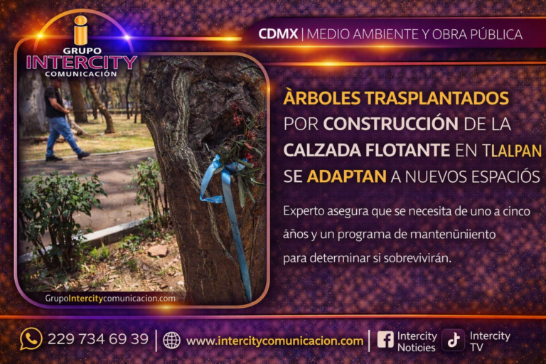 ChatGPT Image 7 abr 2026, 11_25_00 a.m.