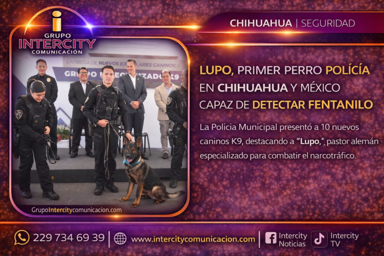 ChatGPT Image 7 abr 2026, 11_55_52 a.m.