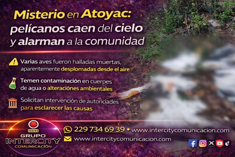 ChatGPT Image 8 abr 2026, 02_03_20 p.m.