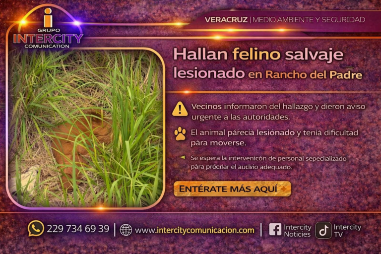 ChatGPT Image 8 abr 2026, 10_09_46 a.m.